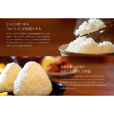 ふるさと納税 与謝野町 【先行受付】令和8年新米　数量限定　京都与謝野町産コシヒカリ「京の豆っこ米」玄米10kg×2袋 |  | 01