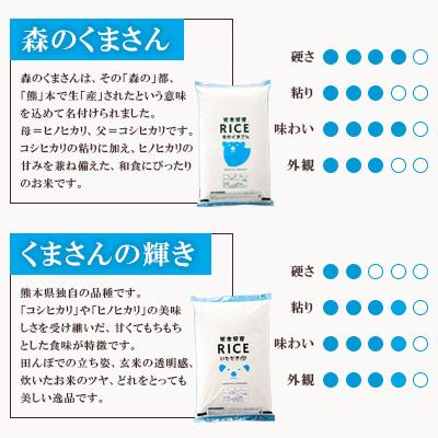 ふるさと納税 山鹿市 【令和6年産】【食べ比べセット】森のくまさん・くまさんの輝き 無洗米 20kg(5kg×4袋)熊本県 |  | 01