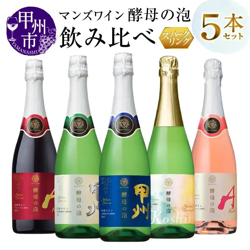 ワイン マンズワイン 飲み比べができるスパークリングワイン 赤 白 ロゼ5本セット（MG）E-627