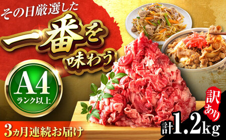 【全3回定期便】【訳あり】博多和牛切り落とし1.2kg[BGAB092]肉定期便肉定期便肉定期便