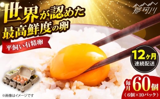 卵【全12回定期便】【TVで紹介！鮮度ＡＡ級の世界最高ランク！】金太郎卵 平飼い 卵 60個（6個入り✕10パック）＜有限会社 フジノ香花園＞那珂川市 卵 金太郎卵 平飼い卵 平飼い 卵 たまご タマゴ 玉子焼き 卵焼き  たまごかけご飯 人気 [GAM013]