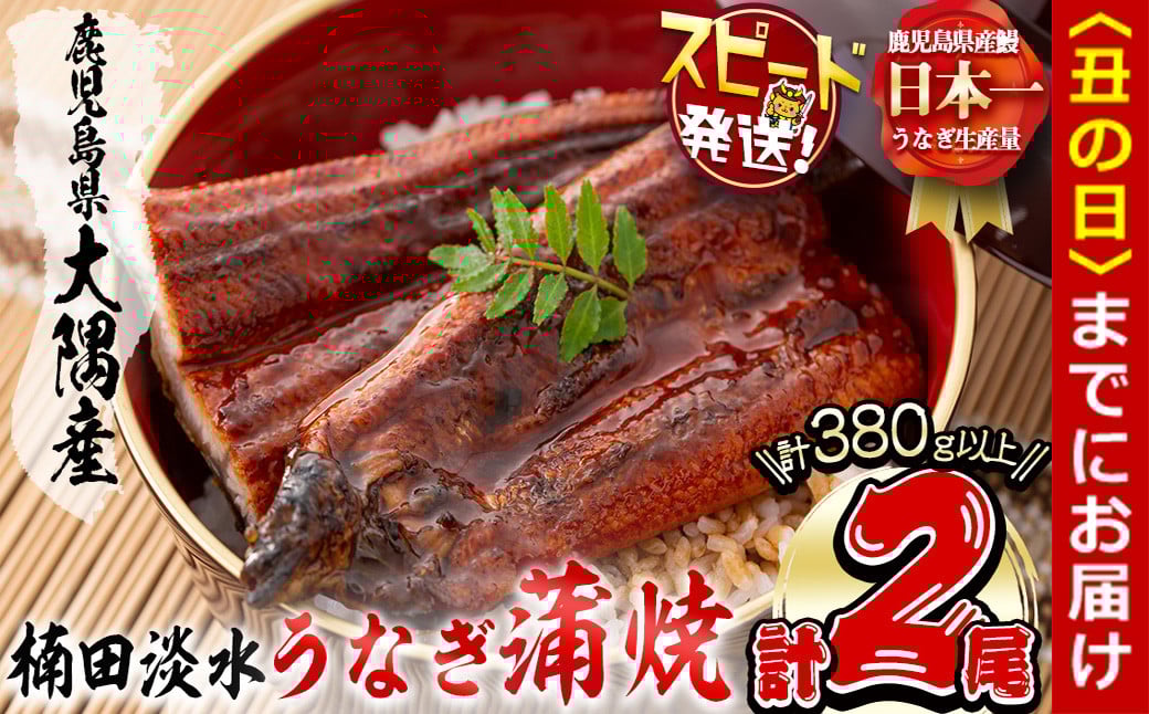
            楠田の極うなぎ蒲焼き190g以上×2尾(計380g以上) 山椒付たれ 鰻 ウナギ 蒲焼 うな重 ひつまぶし 鹿児島 冷凍 おかず お祝い a7-021
          