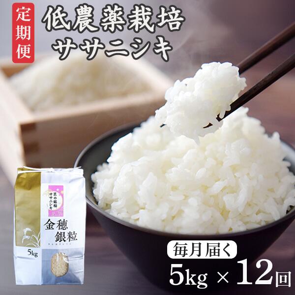 【ふるさと納税】《 新米先行予約 》定期便 12回 令和7年産 新米 低農薬栽培 ササニシキ 5kg 精米 お米 ふるさと納税 ご飯 ごはん お弁当 おにぎり 東北 国産 送料無料 米 岩手県 一関市