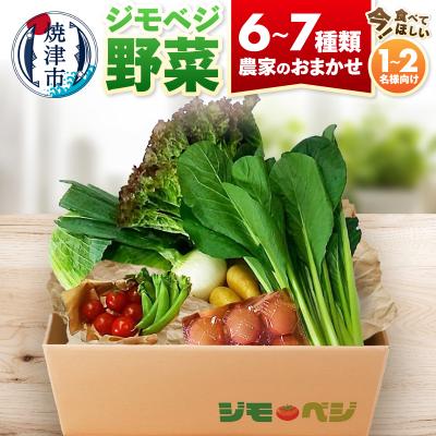 ふるさと納税 焼津市 ジモベジ 野菜 ハーフセット(a08-007d)