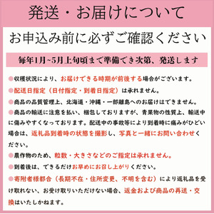 先行予約 いちご とちおとめ やよいひめ 約250g×8パック 計2㎏ いちご