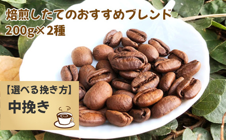焙煎したてのおすすめブレンド 200g×2種（中挽き） No.171-03