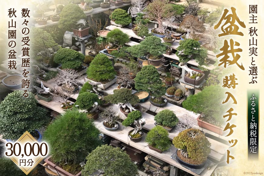 
ふるさと納税限定 園主 秋山実と選ぶ 盆栽購入チケット 30,000円分 / 秋山園 / 山梨県 韮崎市
