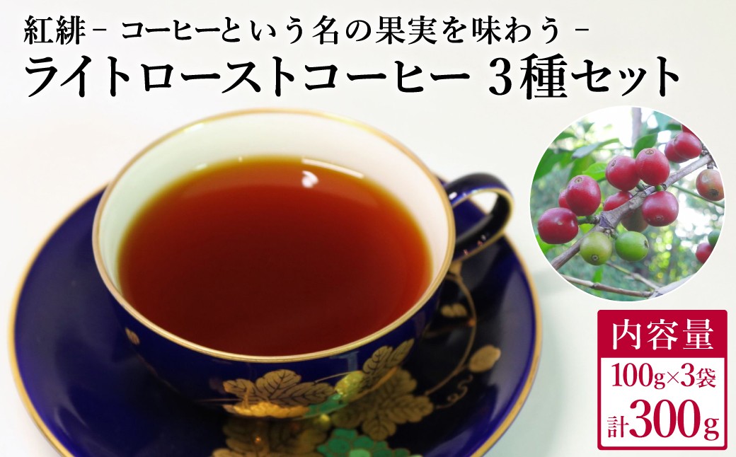 
                  ライトローストコーヒー３種セット　コーヒー豆　各100ｇ＜粉にもできます＞／珈琲　コーヒー　飲み比べ　豆・挽選べる
                