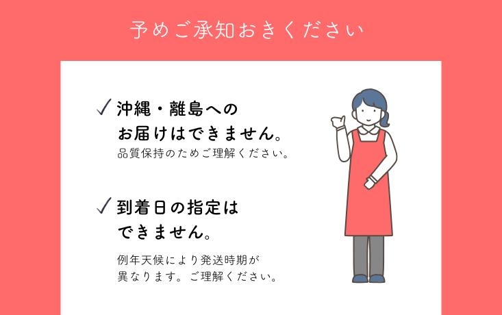他品種に比べ、やや硬めで日持ちが良いのが特徴です。