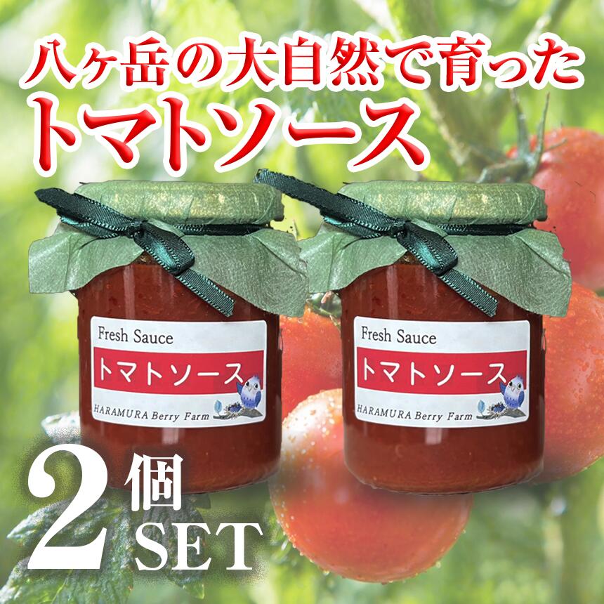 【ふるさと納税】 八ヶ岳 の大自然で育った トマトソース 2本 セット | イタリアン 料理 パスタ スープ 煮込み 甘い 信州 八ヶ岳 長野県 諏訪郡 原村