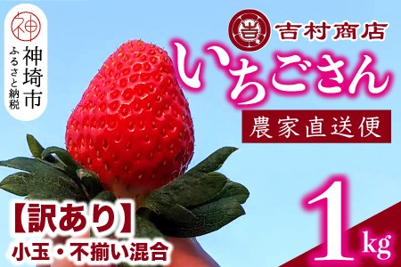 【令和7年1月中旬より順次発送】【訳あり】いちごさん 約1kg (小玉不揃い混合) 【訳あり いちご イチゴ 苺 佐賀県 甘い フルーツ 果物 国産】(H098108)