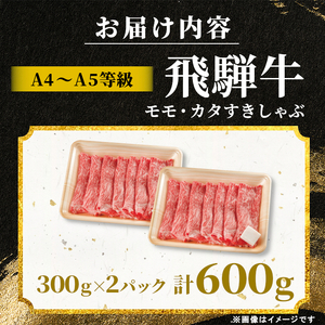 飛騨牛 もも カタ 600g（300g×2p） すき焼き しゃぶしゃぶ A5 A4 国産 牛 黒毛和牛 和牛 牛肉 カタロース 肩ロース もも肉 赤身 ギフト 贈答 肉のひぐち
