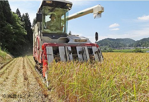 48-6R051【無洗米】新潟県長岡産「新之助」5kg