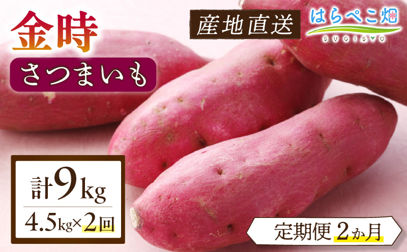 【定期便2ヶ月】さつまいも 金時 4.5kg・H130
