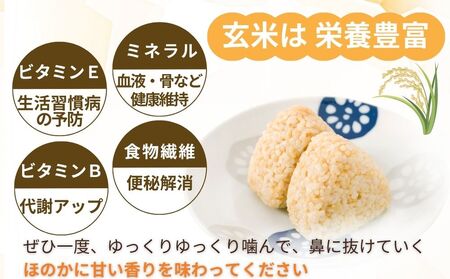 ＜令和7年産・先行予約＞＜毎月定期便3回＞ ひとめぼれ 玄米 5kg 9月末より順次発送 ／ ふるさと納税 低農薬 米 お米 こめ コメ 国産 新米 玄米 農家やまおか 奈良県 宇陀市