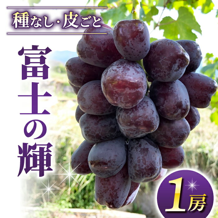 【ふるさと納税】【数量限定！】東御市産富士の輝き　1房（500g以上）｜長野県 長野 人気 ぶどう 贈答用 ギフト 1房 フルーツ 果物 おすすめ 厳選 種無し 皮ごと 希少品種