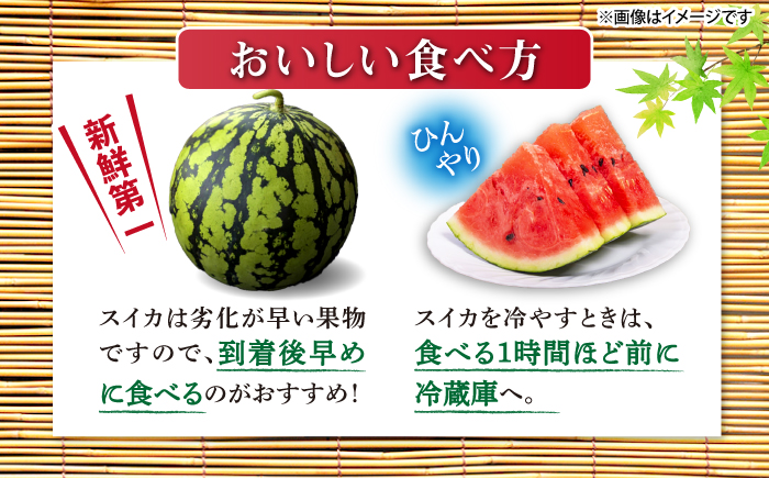 【食べ比べ】 金色羅皇＆羅皇ザ・スウィート（計2玉） ＜ファームまるだ＞ [CDT008]