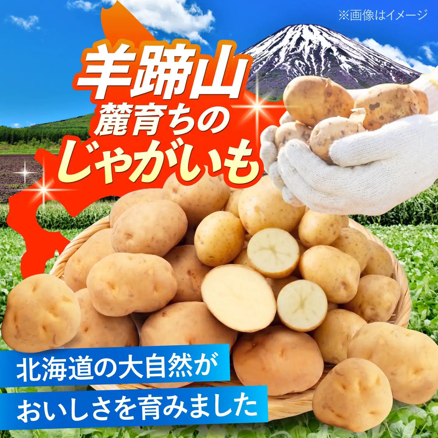 【2027年1月上旬以降順次発送】 じゃがいも 食べ比べセット（男爵・きたかむい）計20kg （10kg×2種） | じゃがいも ジャガイモ 男爵芋 きたかむい 北海道 産地直送 セット 先行予約 |