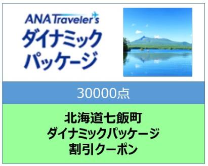 北海道七飯町　ANAトラベラーズダイナミックパッケージ割引クーポン30000点分 NAAV005