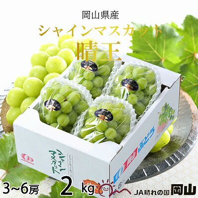 【ふるさと納税】【2025年8月下旬より発送】岡山県産 シャインマスカット 晴王 2kg(3房～6房) ぶどう 葡萄 ブドウ フルーツ 果物　お届け：2025年8月20日～2025年11月30日