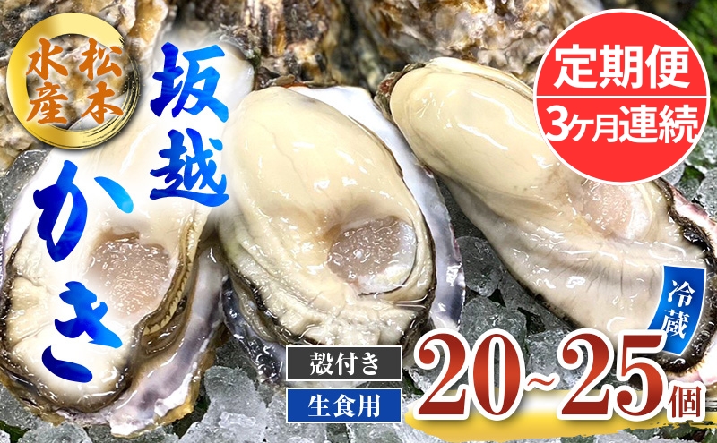 定期便 牡蠣 生食用 坂越かき 殻付き 20～25個《3ヶ月連続お届け》 松本水産 [ 生牡蠣 真牡蠣 かき カキ 冬牡蠣 ]