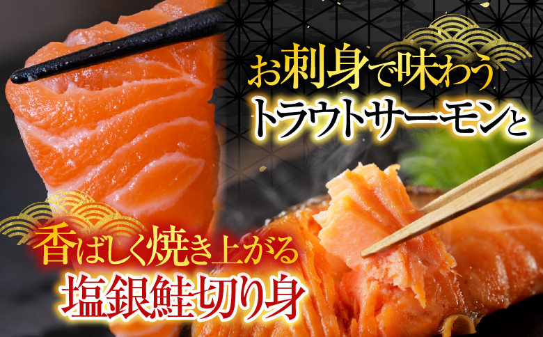 お刺身トラウトサーモン6～12本(計3kg)＆塩銀鮭切り身1切(約70g)×30P D-09040