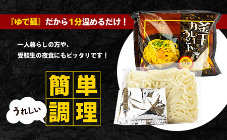 釜玉カレーうどん24食分（２食12入り）