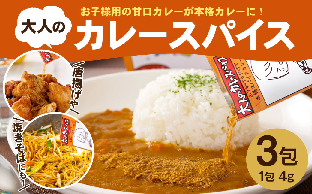 
大人のカレースパイス 計12g ( 4g×3包 ) セット 簡単調理 カレー スパイス
