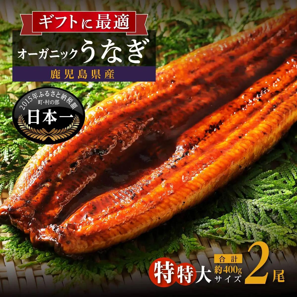 【数量限定】泰正オーガニック うなぎ 蒲焼　特特大2尾合計400g以上　|  うなぎ
