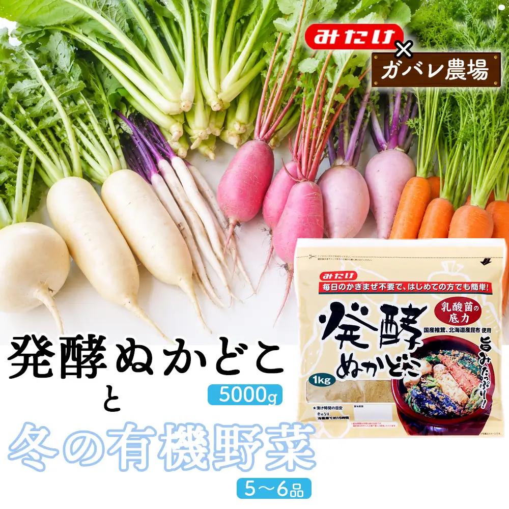 【コラボF】発酵ぬかどこ1kg×5＆冬の有機野菜5～6品 No.621