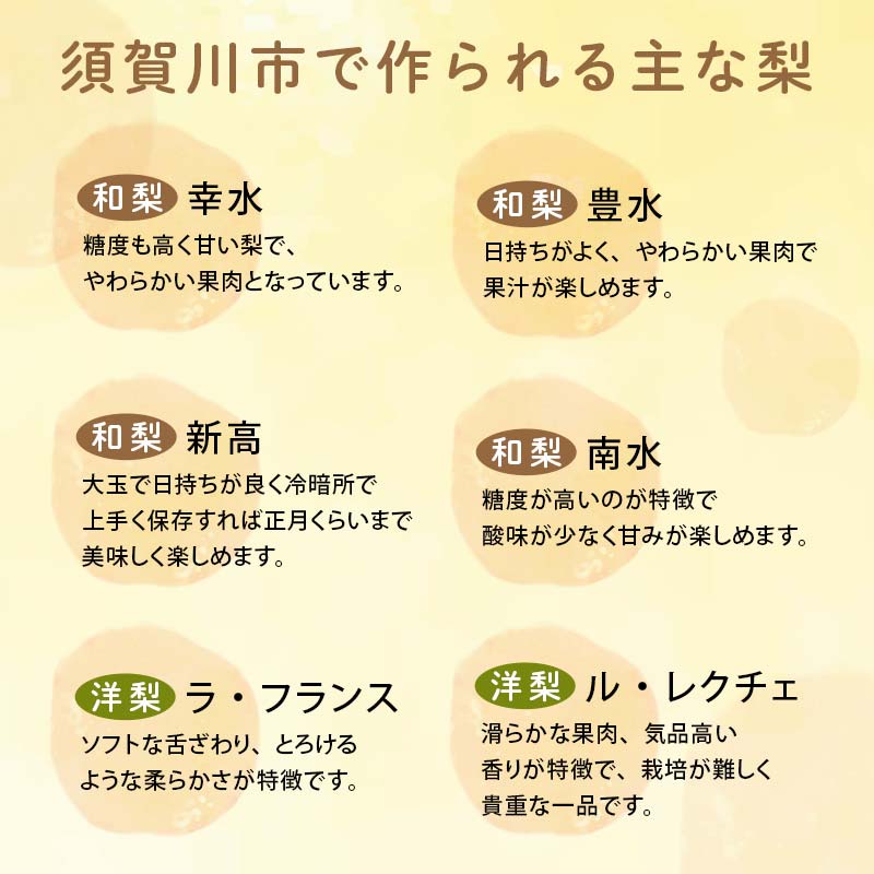 阿部農縁 福島県の和梨 品種おまかせ 旬のなし3kg(8~11