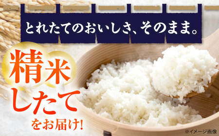 【令和7年度産新米】 無洗米 コシヒカリ 5kg [AQDK003] 無洗米