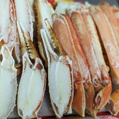 ふるさと納税 紋別市 【お中元】ボイル本ずわいがにハーフポーション(総重量　約900g前後) |  | 02