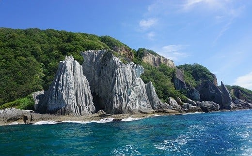 仏ヶ浦観光船乗船券２枚組