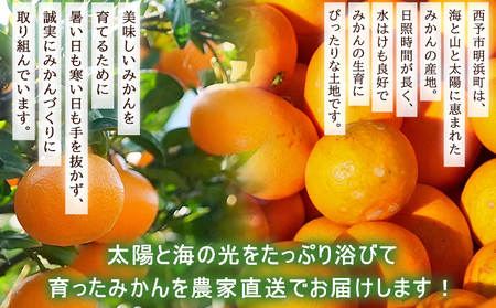 ＜明浜産 温州みかん 約5kg 訳あり＞ 愛媛みかん 農家直送 愛媛県産 家庭用 ご家庭用 ワケアリ 果物 フルーツ 柑橘 うんしゅうみかん ウンシュウミカン オレンジ ミカン 蜜柑 S～L 濱元柑橘