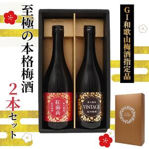 「GI和歌山梅酒」に指定された 至極の本格 梅酒 2本セット ［MG77］