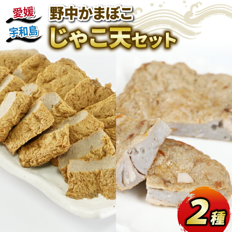 【ふるさと納税】 ＼10営業日以内発送／ じゃこ天 宇和島 2種 詰合せ セット 手押してんぷら 7枚 野菜てんぷら 5枚 野中かまぼこ店 お中元 初節句 お正月 お土産 ごちそう すり身 練り物 具 出汁 だし 小分け 郷土料理 酒 おつまみ 肴 特産品 国産 愛媛 C010-014003