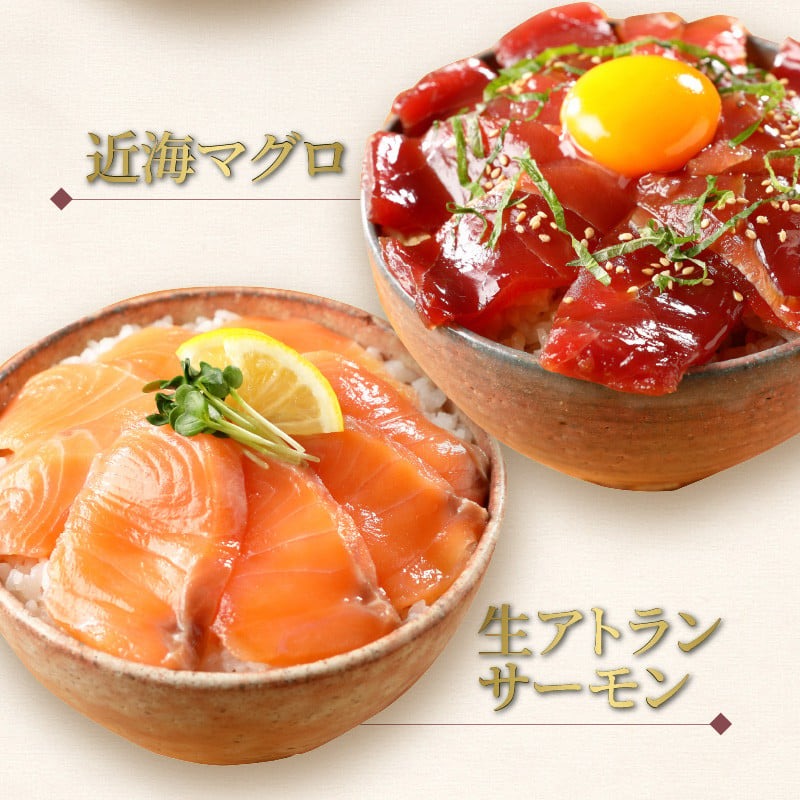 【冷凍】活〆ブリ・真鯛・近海マグロ・生アトランサーモンの漬け丼4種食べ比べセット100g×8袋 N019-YB251