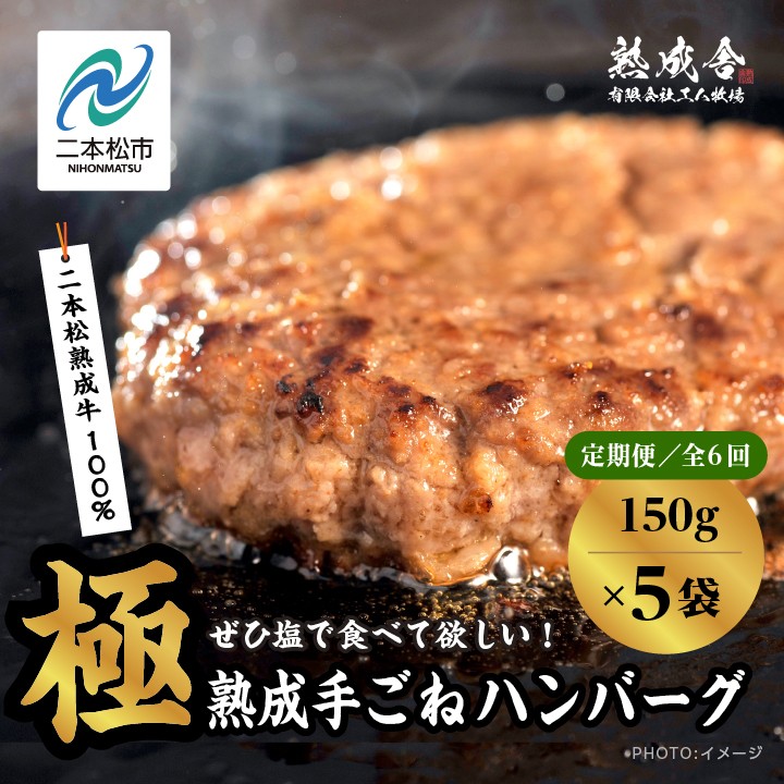 
                  【定期便6回】二本松熟成牛 塩で食べる！手ごねハンバーグ 150g×5袋 全6回 ハンバーグ 和牛 牛肉ハンバーグ 冷凍 個包装 小分け はんばーぐ ふるさと納税 ランキング 牛肉 ビーフ 挽肉 hannba-gu お肉 リピーター にく ミンチ 肉 お弁当 ぎゅうにく【有限会社エム牧場】
                