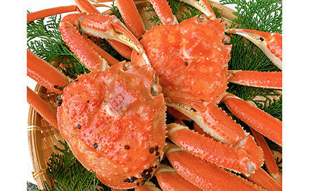 【B-39】鳥取網代港【訳あり】浜茹で！松葉ガニ1kgセット【さかなや新鮮組】