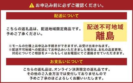 ぶどう 2026年 先行予約 ニュー ピオーネ 1房 600g以上 【2026年8月下旬～9月下旬 発送予定】 ブドウ 葡萄 岡山県産 国産 フルーツ 果物 ギフト 環山堂 くだもの お取り寄せ 贈り