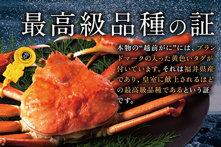 越前がに(オス)特々大サイズ　1.2kg以上× 1杯　越前ガニ　冷蔵