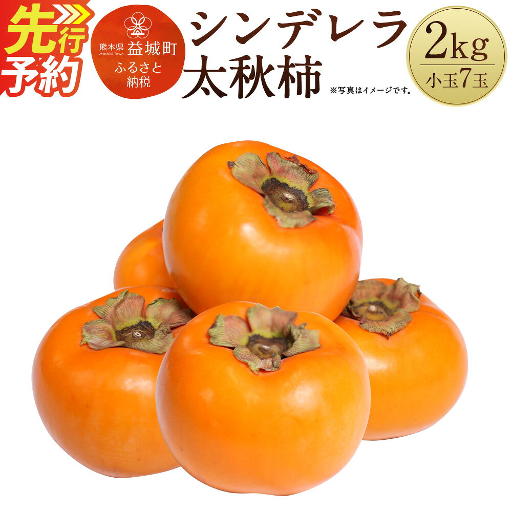 【ふるさと納税】シンデレラ太秋柿 2kg 小玉7玉 化粧箱入り 福馬果樹園 フルーツ 果物 国産 熊本県産 ギフト 贈り物 送料無料【2026年11月上旬～2027年1月上旬発送予定】