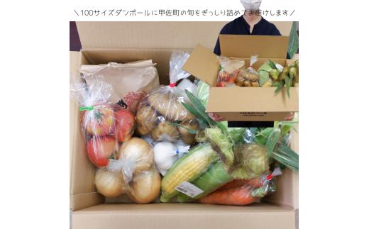 旬のお野菜おまかせセット＆山出米2kg【新米先行受付】 - 令和6年11月以降順次発送 新米 令和6年産 新鮮 野菜 旬 朝採れ 季節 精米 お米 米 しっとり もちもち 甘み おにぎり ごはん 複数原料米 セット 詰め合わせ おまかせ 国産 九州産 熊本県 熊本県産 甲佐町【価格改定】