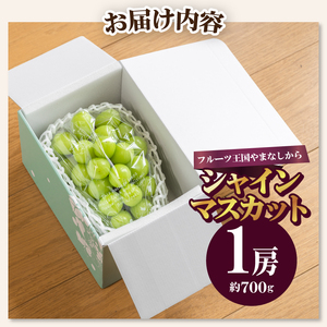 〈2026年度配送分〉シャインマスカット1房（約700g） 山梨 県産 先行予約 2026年 ぶどう フルーツ 1房 冷蔵 生産量 日本一 甲府 市産 700g以上 フルーツ王国山梨 2026年8月中