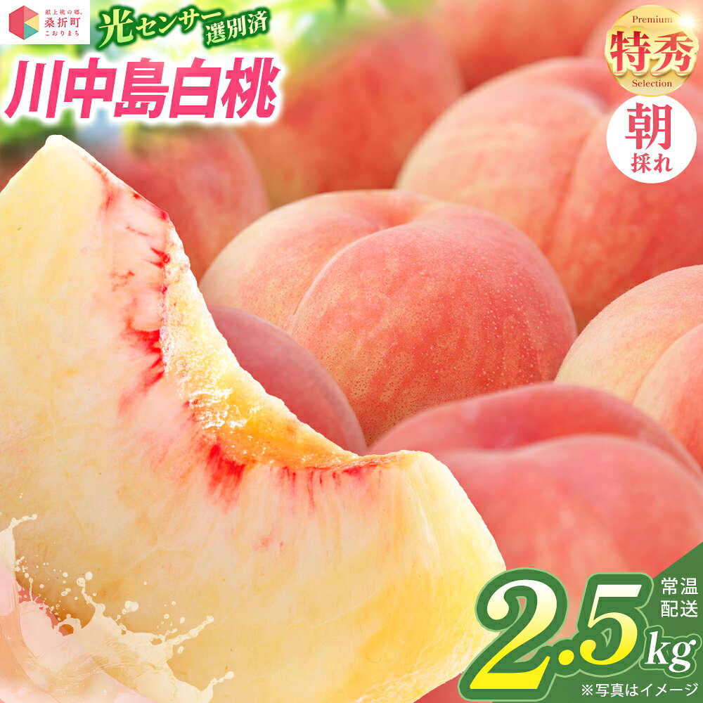【ふるさと納税】もも【川中島白桃・2027年先行予約】特秀2.5kg（7～9玉）桑折町振興公社 ／ もも モモ 果物 フルーツ 旬 甘い 甘み ジューシー 果肉 果汁 朝採り 新鮮 フレッシュ デザート おいしい 産地直送 桑折 こおり こおりまち 福島県 特産品 【07301-0184】