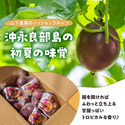 ふるさと納税 和泊町 【ご家庭用】山下農園のパッションフルーツ2キロ |  | 01