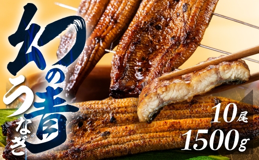 【すぐにお届け/冷凍】厳選 高級 青うなぎ 10尾 蒲焼 1500g