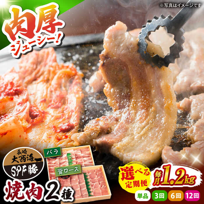 【ふるさと納税】【食べ比べ】大西海 SPF豚 背ロース ＆ バラ （ 焼肉 用）計1.2kg（各600g）訳あり ＜大西海ファーム＞ [CCY007] 長崎 西海 肉 食品 肉類 国産 豚肉 こだわり セット 甘み 旨み ブランド豚 贈答 ギフト