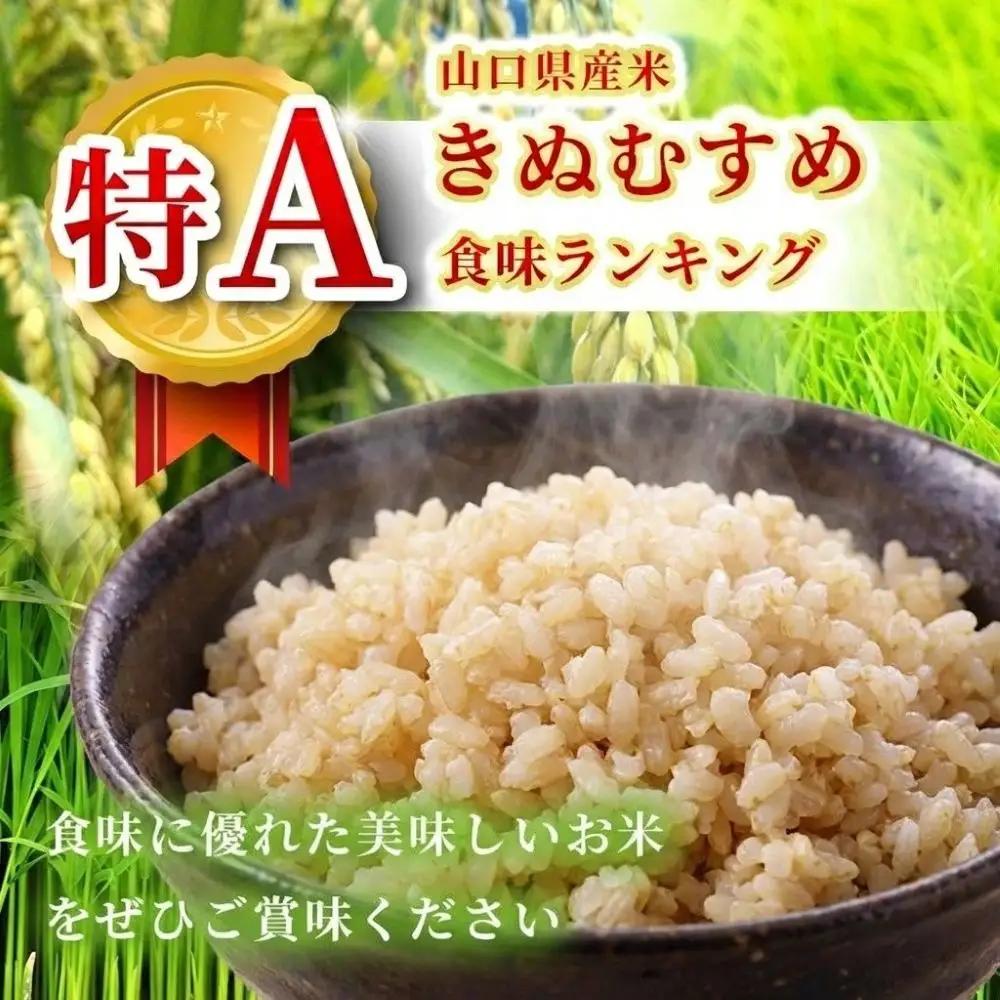 令和8年度産 きぬむすめ 玄米 10kg 村上農園 先行予約 ＜ 2026年10月中旬より11月末まで順次発送 ＞